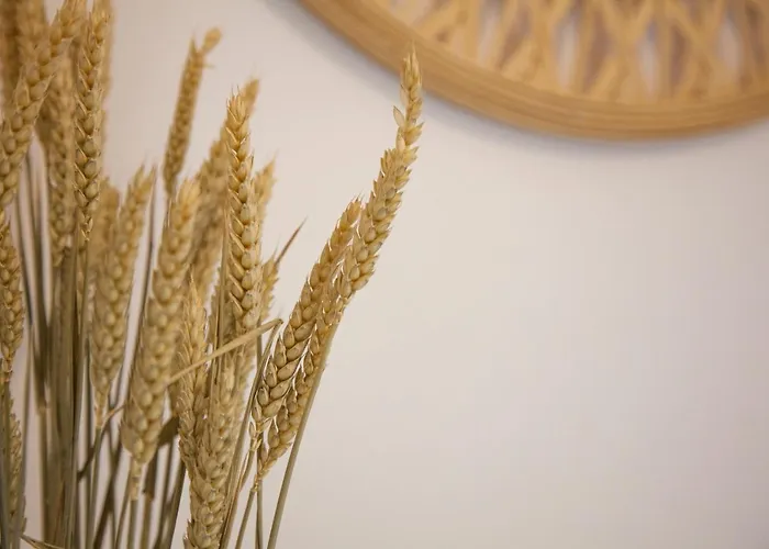 The Square 1st Floor Apartment Argostoli (Kefalonia)