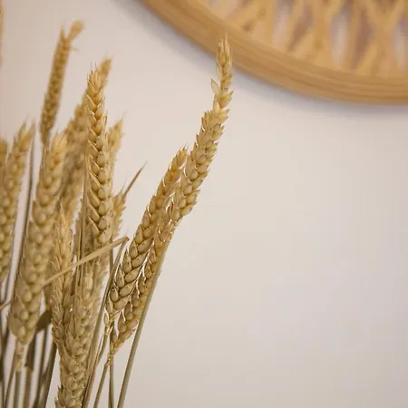 The Square 1st Floor Apartamento Argostoli (Kefalonia)