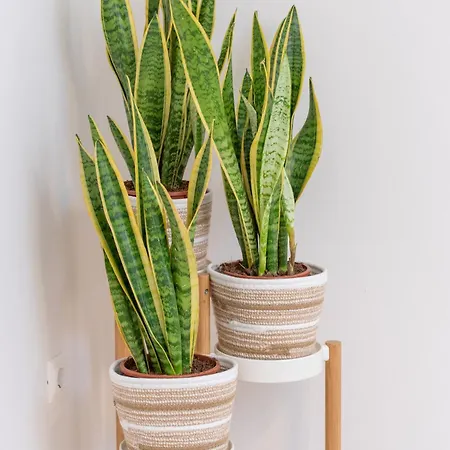 Apartamento The Square 1st Floor *