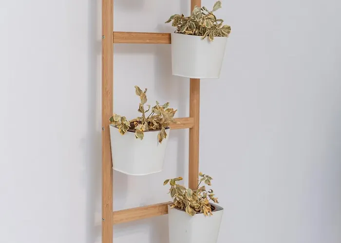 The Square 1st Floor Argostoli (Kefalonia)